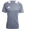 adidas, Hommes, T-shirt de sport, TIRO24 C TR JSY (M), Gris, M