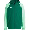 adidas Jas Heren Tiro 23 Competition All Weather Groen - Maat XL