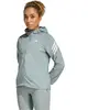 Adidas Veste Adi365 Iconic Running