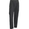 Adidas Pantalon Terrex Xploric Clima365 Cargo