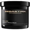 Sebastian DarkOil Smooth and Shine Mask 500ml