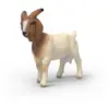 Schleich Burenziege