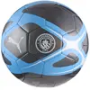 Puma, Ballon de football, (5)