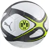 Puma Ballon De Football Bvb Borussia Dortmund Culture