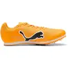 Puma, Unisexe, Baskets, evoSPEED Star 9, Noir, (38.5)