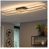 Paul Neuhaus - Plafondlamp Iven 101 x 20 cm zwart