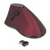 Delock - Souris verticale - ergonomique - pour droitiers - optique - 5...