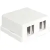 Delock Uitvoerdoos voor 2 Keystone modules / wit