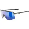 Uvex Lunettes De Soleil Dyrt