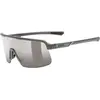 Uvex Lunettes De Soleil Dyrt