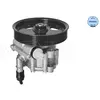 Servo pomp 16146310005 Meyle