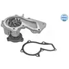Waterpomp motorkoeling 7132200021 Meyle
