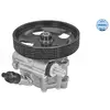 Servo pomp 11146310005 Meyle