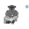 Servo pomp 1146310055 Meyle