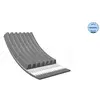 Multiriem 0500071275 Meyle