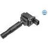 Bobine 0148850008 Meyle
