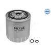 Brandstoffilter 0143230019 Meyle