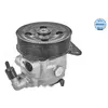 Servo pomp 53146310003 Meyle