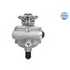 Servo pomp 16166310006 Meyle