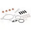 Elring Turbocharger montageset