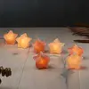 Himalayazout Lichtsnoer op batterij, Ster 8 stuks, 44544