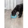 TRIXIE - Mangeoire pour chien en céramique, 0,9 l/ø 16 cm, bleu