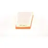 BOSCH Filtre à Air S0250 F026400250
