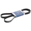 Bosch Automotive Multiriem