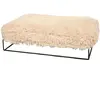 D&d Home - Hond - Amy Kussen Met Frame M - 90x65x20cm Wit - 227258