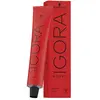 Schwarzkopf Professional Igora Royal 7-1 Blond Moyen Cendré 60 ML