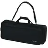 Instruments de musique et accessoires : Gewa Basic C