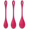 Boules de Geisha Satisfyer Yoni Power 1