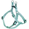 Nobby Harnais Soft-Grip S-M Mint 15 mm (S, Chien, Sport canin), Collie...