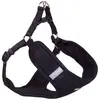 Nobby tinklelis atspindi Szelki L Juoda 58-69 cm (L, Chien), Collier +...