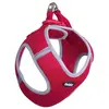 Nobby Delight (S, Chien, Général), Collier + laisse