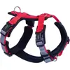 Nobby Harnais DAILY WALK COMFORT, Accessoire Chien, Rouge, Taille M : Tour de Poitrine : 36-48 cm, Ventre : 57-76 cm, 1 Pièce