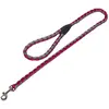 Nobby 80707 01 Laisse Corda, Rouge/Gris