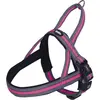 Nobby 80613 15 Harnais norvégien Variado Collier Harnais