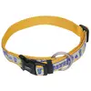 Nobby Collier pour Chat Orange Taille L : 15-21 cm Largeur : 10 mm