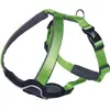Nobby 80730 39 Komfort Harnais Classic preno, Vert