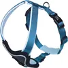 Nobby Harnais confort Classic Preno, bleu clair/bleu clair, L : 30-35 ...