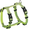 Nobby Full Reflect (L, XL, Chien, Promenade), Collier + laisse