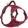 Nobby Sporty (L, Chien, Promenade), Collier + laisse