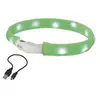 Nobbys Nobby Bande lumineuse LED large VISIBLE (L, Chien), Collier + laisse