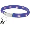 Nobbys Nobby Bande lumineuse LED large VISIBLE (M, Chien), Collier + laisse