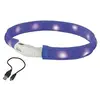 Nobbys Nobby Bande lumineuse LED large VISIBLE (L, Chien), Collier + laisse