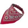 Nobby Collier avec foulard (40, Chien), Collier + laisse