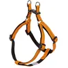 Nobby Harnais Soft Grip Accessoire Chien Orange - Poitrine : 50/72 cm - Largeur : 20 mm
