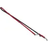 Nobby Longe de présentation South (S, M, Chien, Sport canin), Collier ...