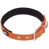 Nobby Cover Collier pour chien Orange fluo Taille M
